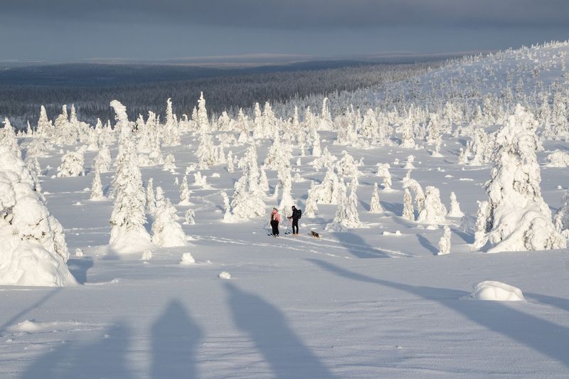 Статуи Рииситунтури 2photo preview