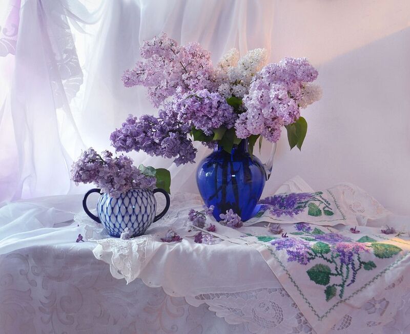 У сирени особенный запах.photo preview