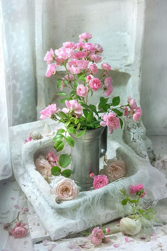 Törperózsa és ónpohárphoto preview