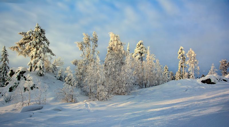 Белоснежная зимаphoto preview