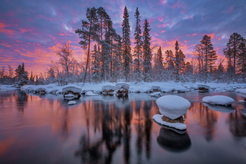кольский, полуостров Утро под брусничным соусом...photo preview