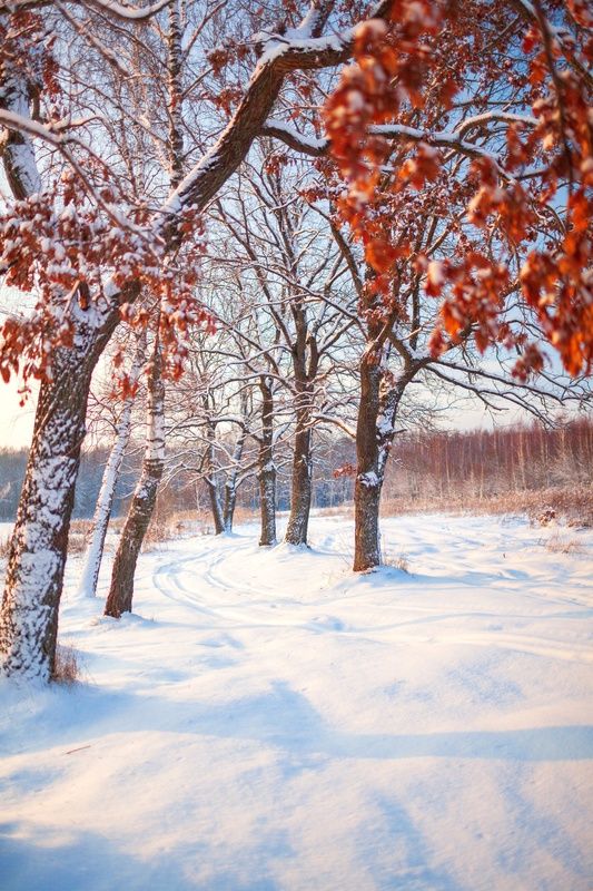 По Толстовским местам фото превью