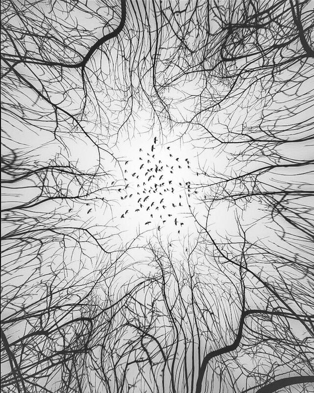 pickeyhanphoto preview