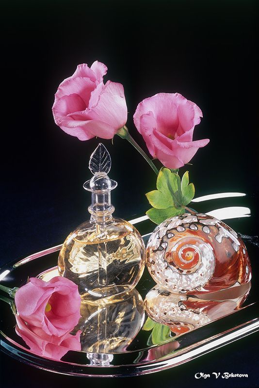 духи, цветы, ракушка Духи, цветы и ракушкаphoto preview