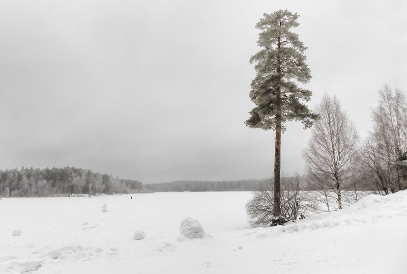 февральphoto preview