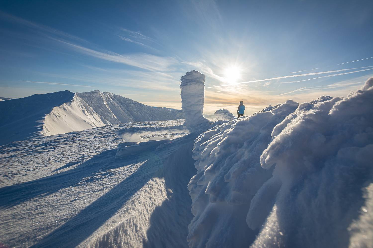 , Ян Сурогин