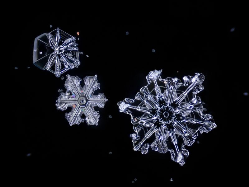 снежинка, зима, макро, микро Ледяной космосphoto preview