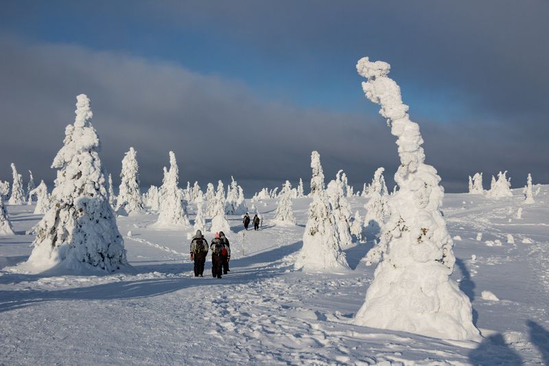 Статуи Рииситунтури 3photo preview