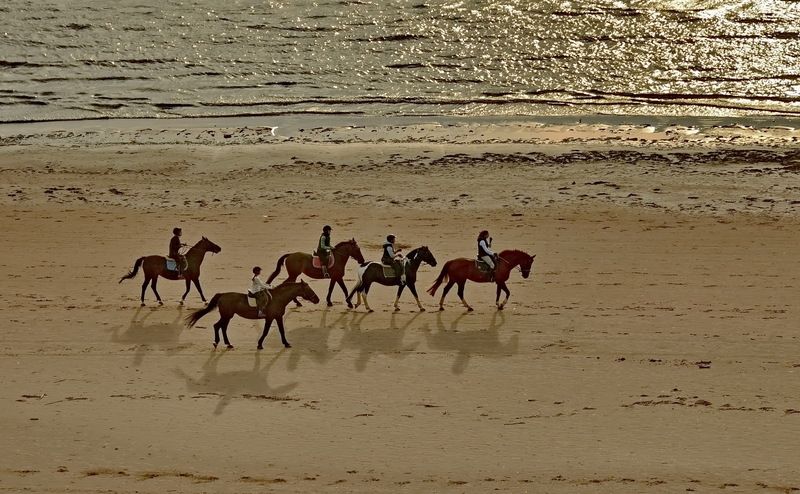 Они ехали молча...photo preview