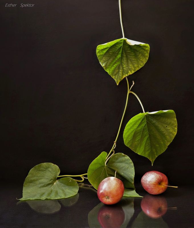 Gravityphoto preview