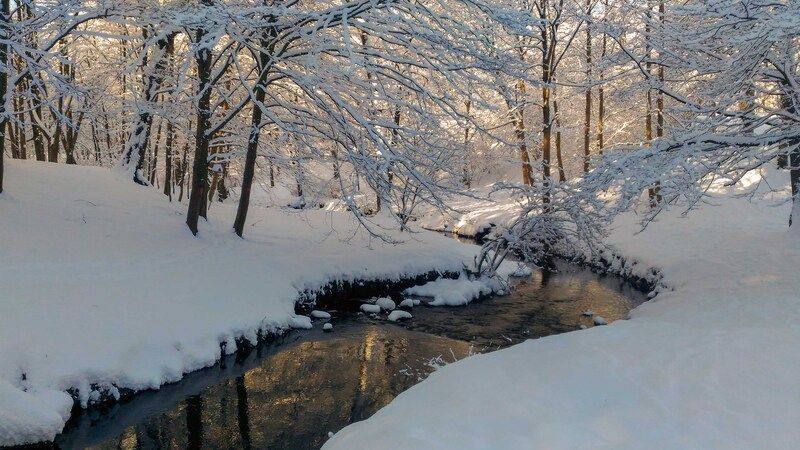 Посеребрилоphoto preview