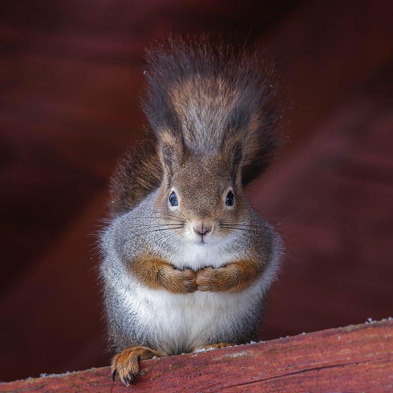 От всей душиphoto preview