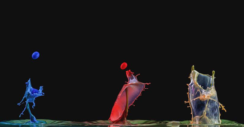 macro, drops, color, red, water, liquid,  Триоphoto preview