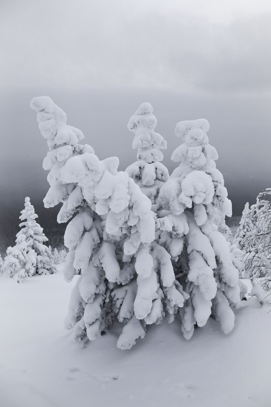 Уреньга, Южный Урал, Урал, зимний пейзаж, туризм Хребет Уреньга зимой, Южный Уралphoto preview