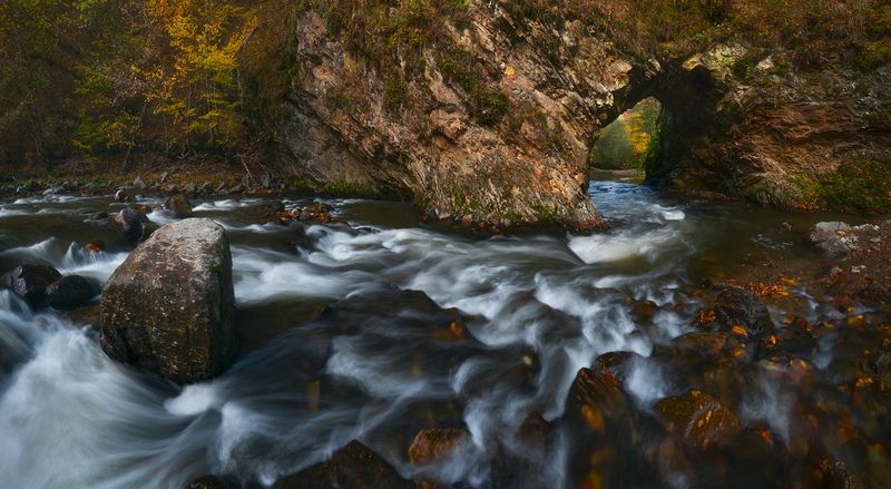 Counterpartsphoto preview