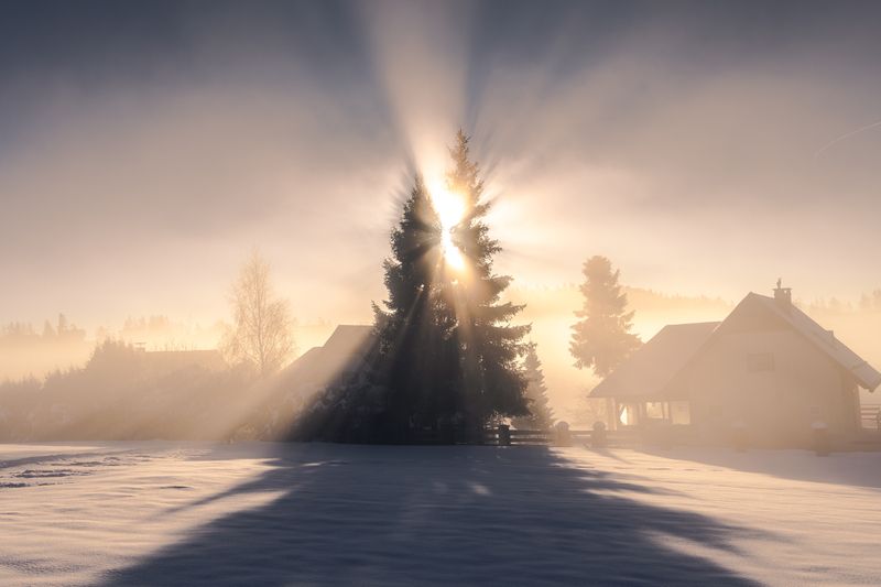 winter Winter morningphoto preview