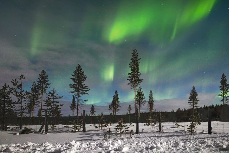 Laplandphoto preview