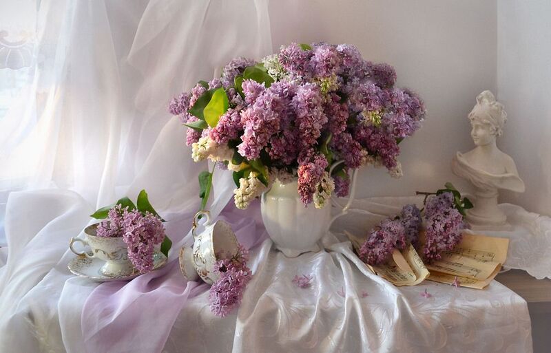 still life, натюрморт, цветы, фото натюрморт, весна, май, сирень, фарфор, настроение, В закатный час, теплом души согретая...photo preview