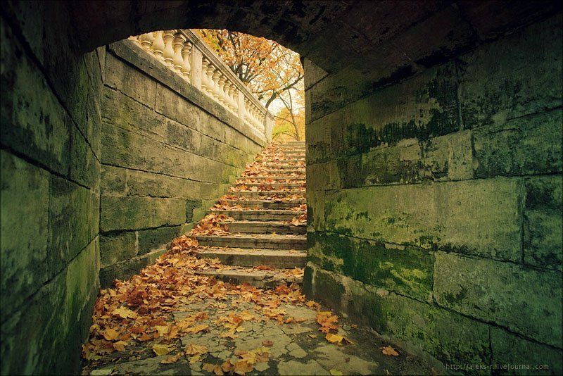 гатчина,осень,октябрь Гатчина.photo preview