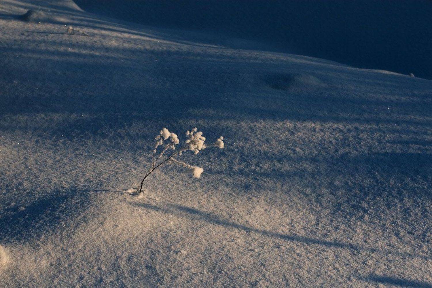 куда ты, солнце !!??. Автор: Basil G , Basil G