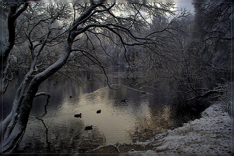 * * * * *photo preview