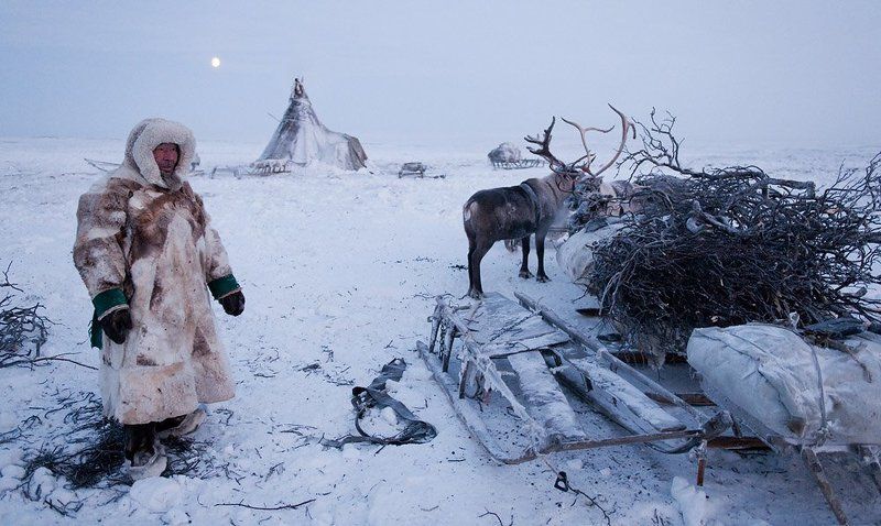 жизнь на краю земли, ненцы, жанровый портрет, север где-то на просторах Тазовской тундрыphoto preview