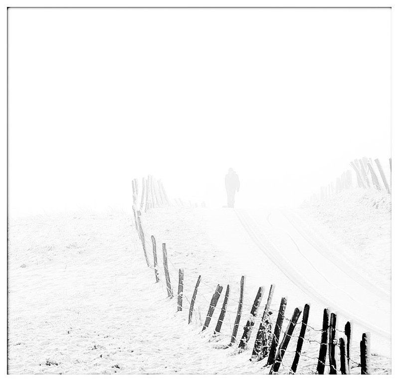 Из серий Муст 2photo preview