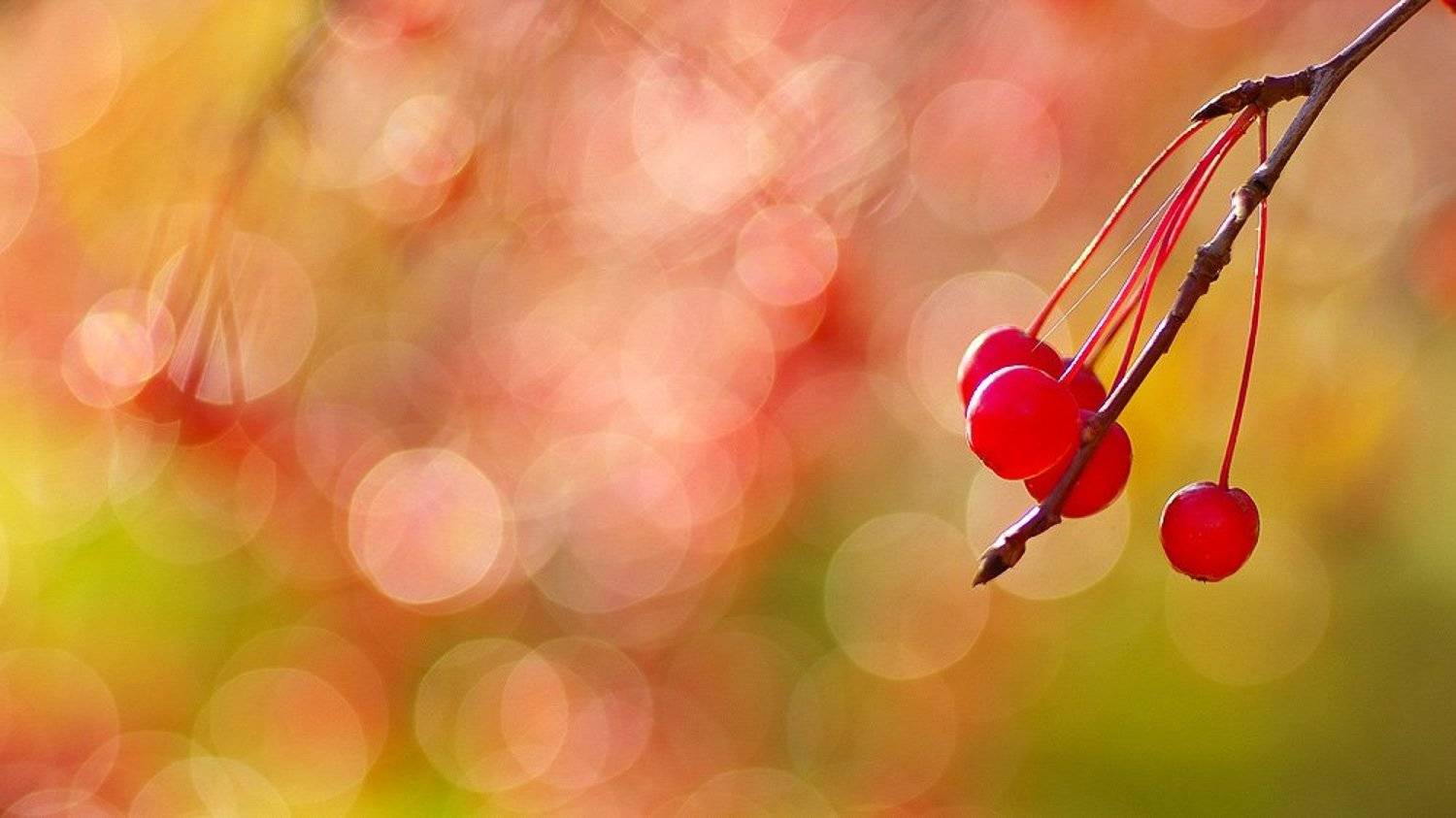 , Андрей Веретенников