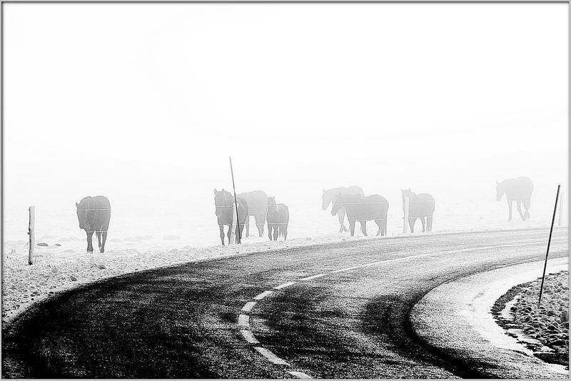 Домойphoto preview