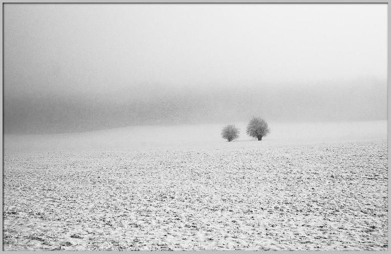 Из СЕРИЙ  Вместе навсегда 4photo preview