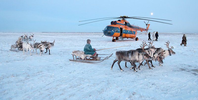 жизнь на краю земли, ненцы, репортаж, север долгожданная вертушка (фактория Танама)photo preview