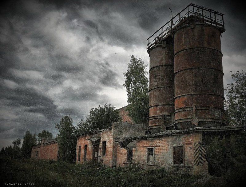 shade,heart shade of my heartphoto preview