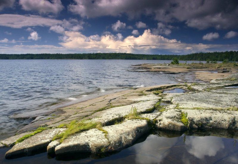 Ладожские берегаphoto preview