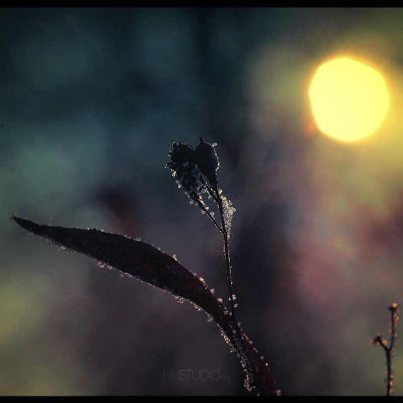 *Закат*photo preview