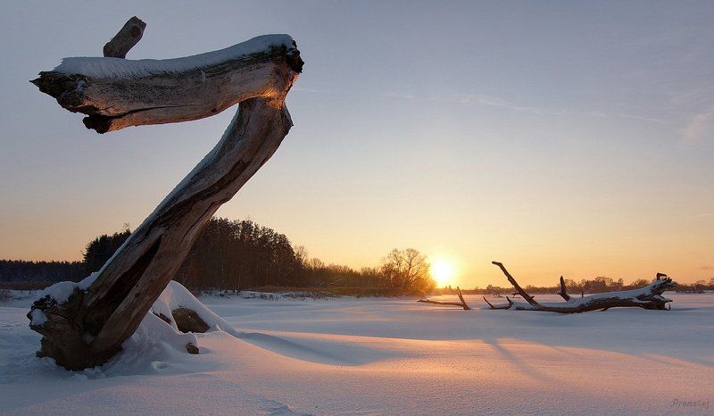 * фото превью