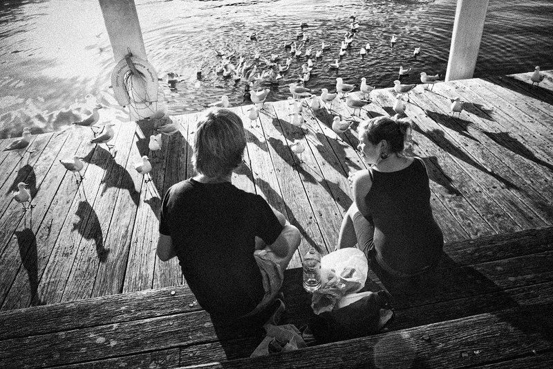 Sydney. Harbourside.photo preview