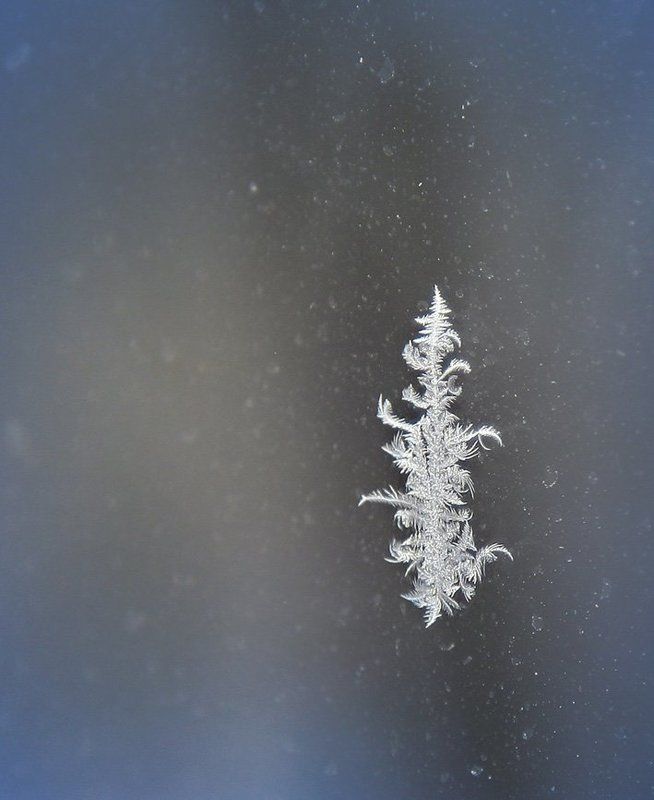 иней, морозный узор на стекле Рождественский подарок!photo preview