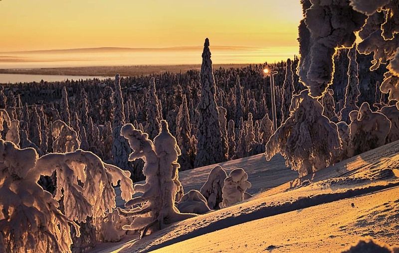 спектакль, зима, снег, деревья сказка, финляндия Финал, немая сцена...photo preview