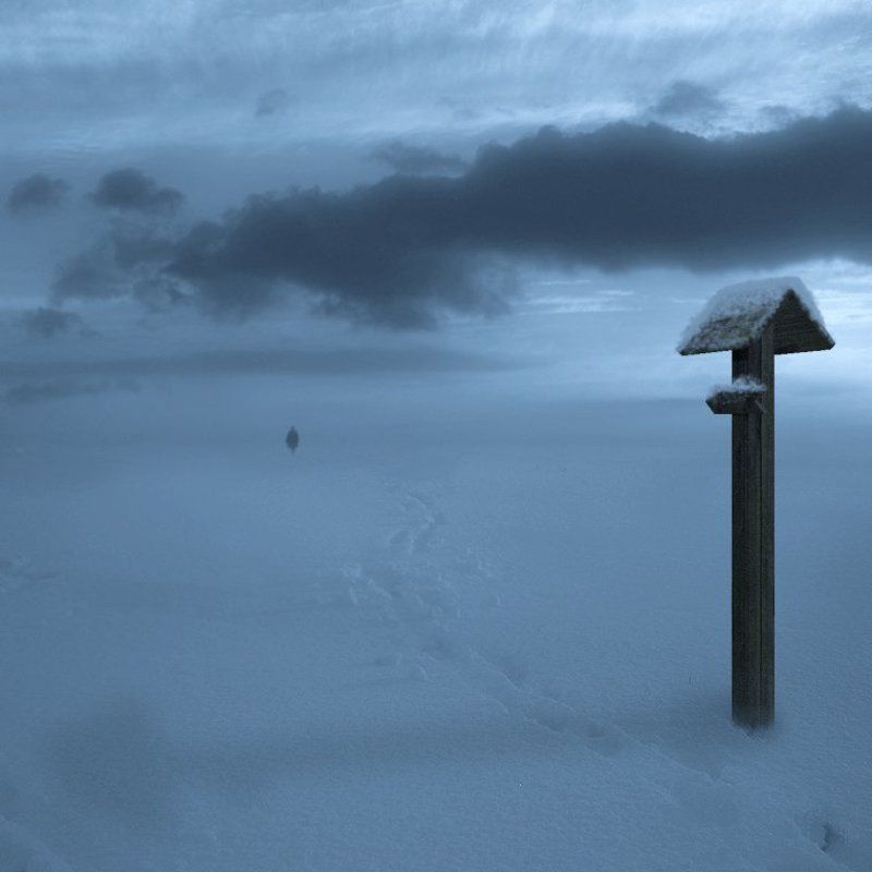 В никуда.photo preview