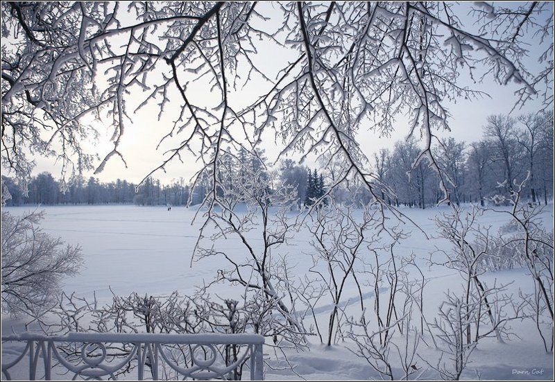 природа, зима, парк, царское Ажурность зимыphoto preview