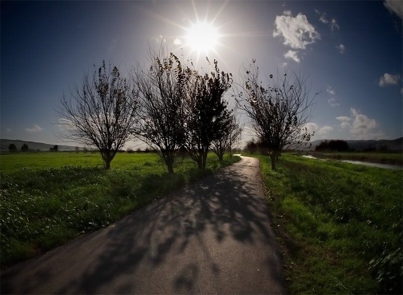 Дороги осениphoto preview