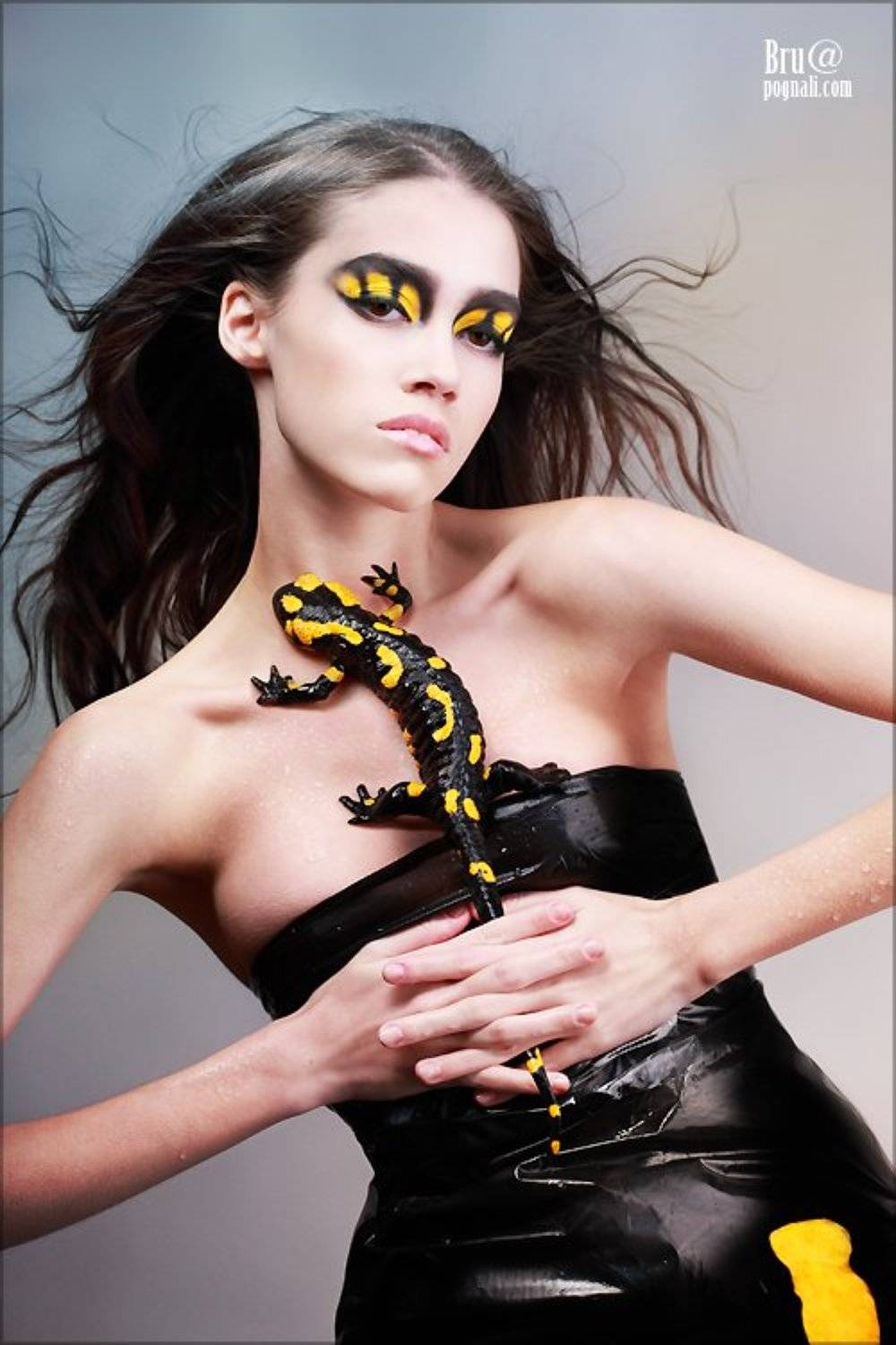 саламандра, девушка, тигр, Брушша