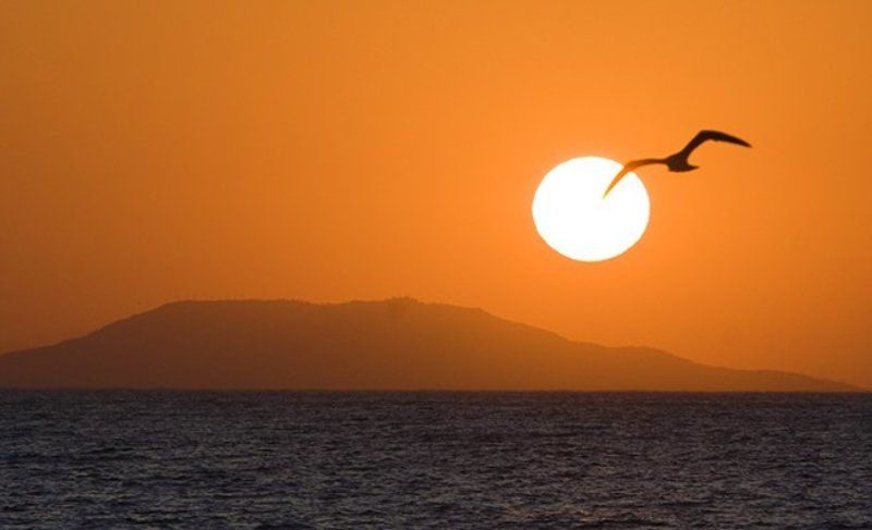 sunrisephoto preview