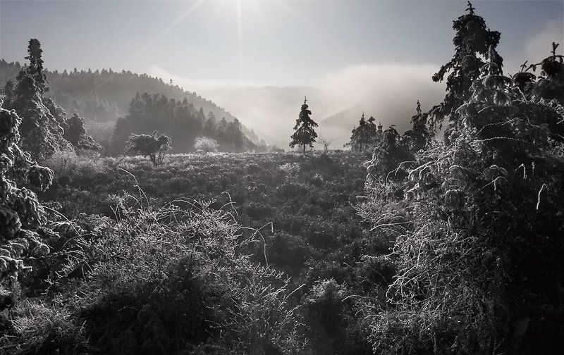 Утро в Поднебесной фото превью