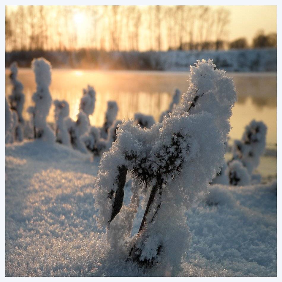 * * *. Автор: Sergey Polukarov , Sergey Polukarov