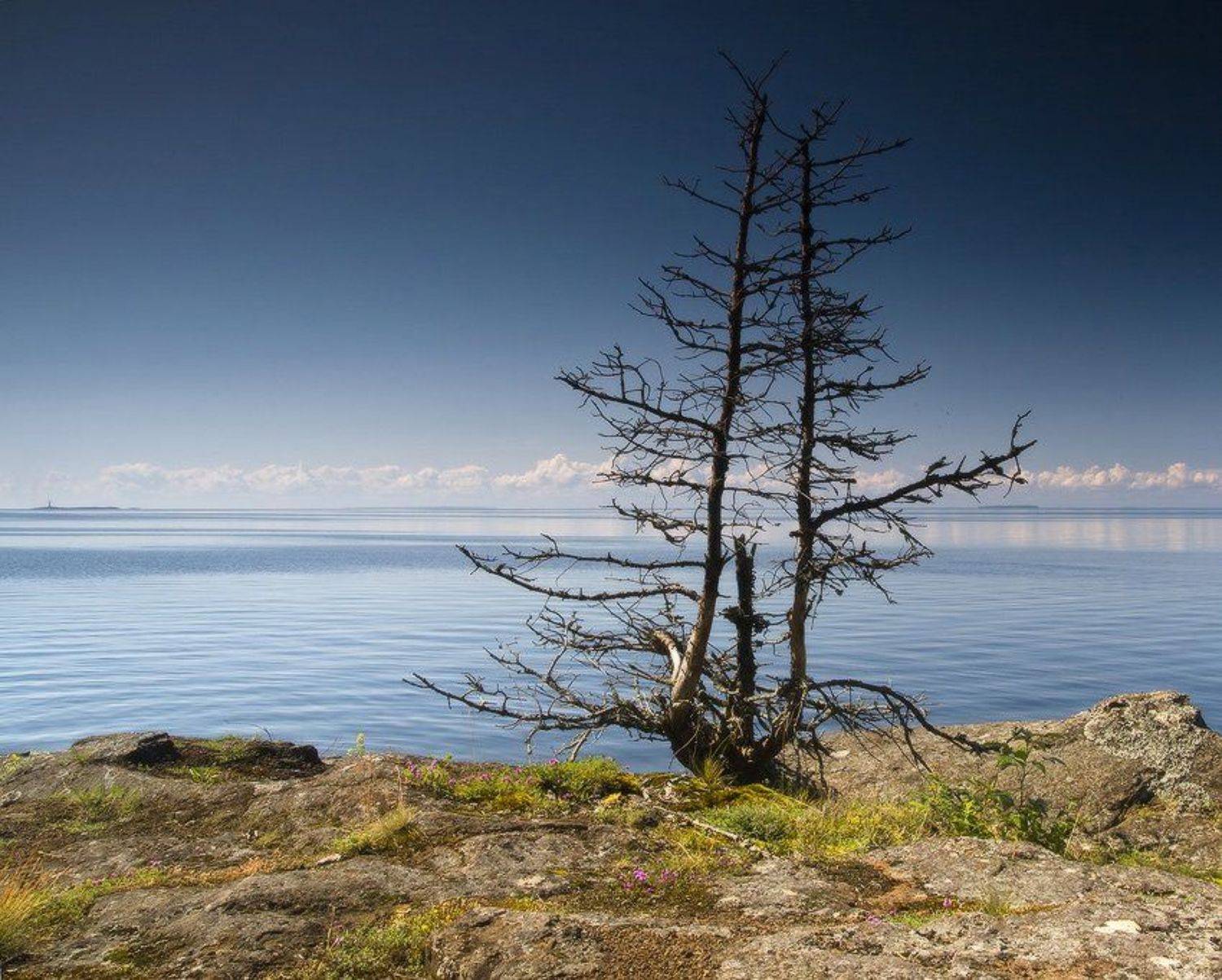 , Viktor Kalechenkov