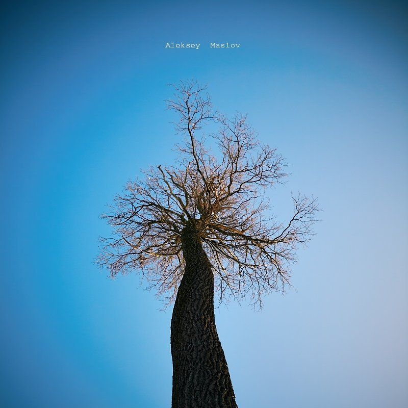 sciencephoto preview