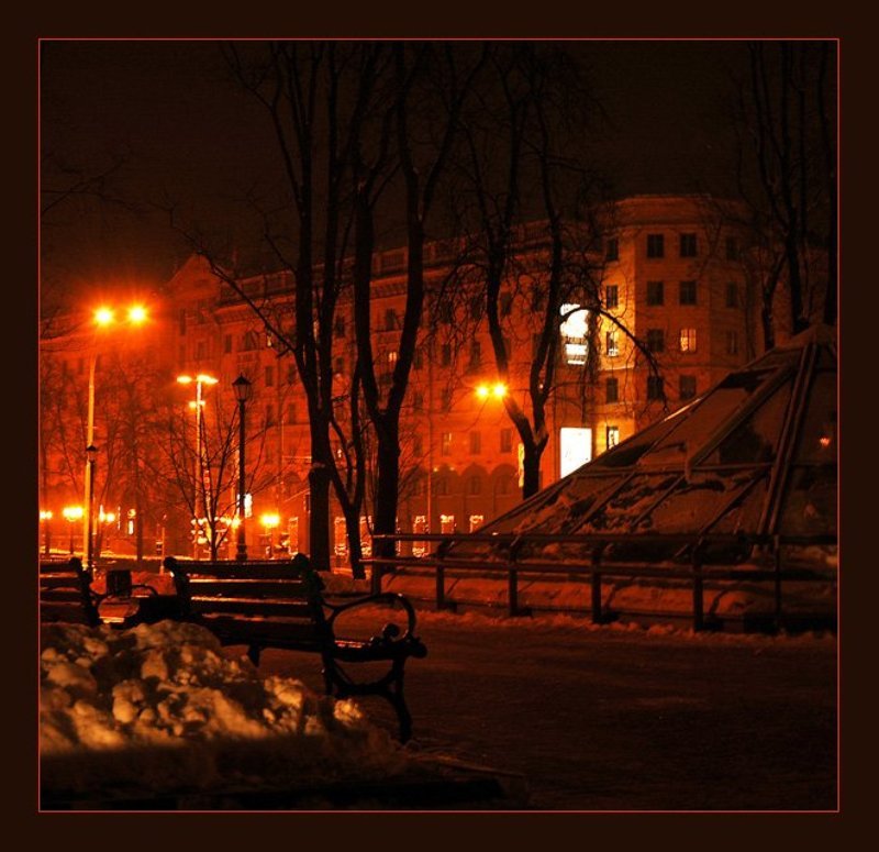 Ночь в зимнем паркеphoto preview
