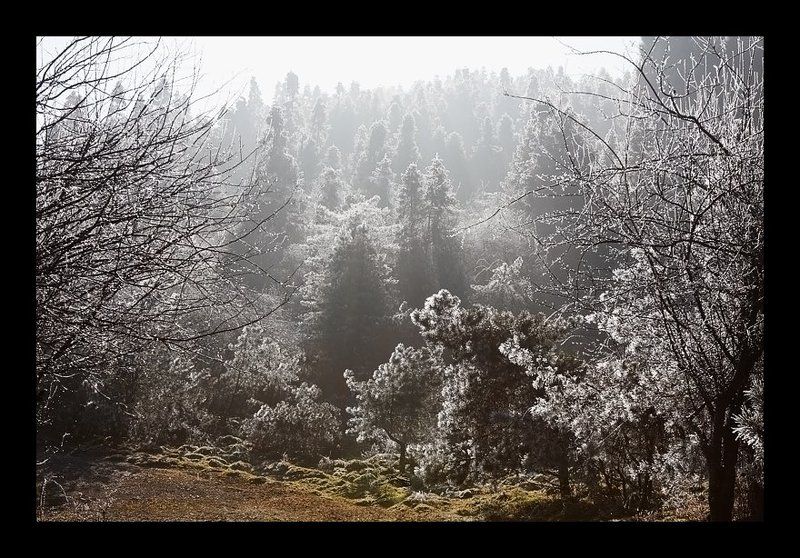 Оттепель фото превью