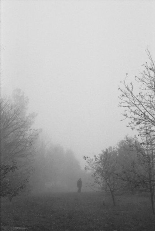 туман photo preview